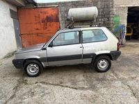 Usata Fiat Panda 4x4 2023 Grigio Utilitaria