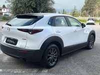 Usata Mazda CX-30 Evolve 122 CV (89 kW) 2023 Bianco SUV
