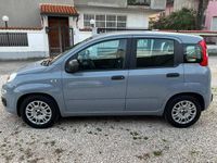 Usata Fiat Panda Easy 70 CV (51 kW) 2020 Grigio Utilitaria