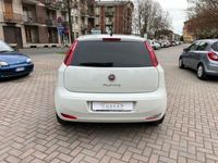 usata Fiat Punto Young 1.2