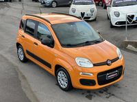 usata Fiat Panda 1.2 Benz/Gpl 69cv Easy 2019