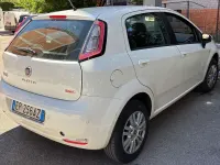Usata Fiat Punto Pop 69 CV (50 kW) 2012 Bianco Utilitaria