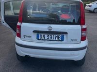 Usata Fiat Panda 2008 Bianco Utilitaria
