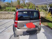 Usata Fiat Panda 4x4 Climbing 60 CV (44 kW) 2007 Oro Utilitaria