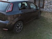 Usata Fiat Punto Evo 95 CV (69 kW) 2011 Nero Utilitaria