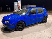 usata VW Golf IV Golf 1.6 16V cat 5 porte 25 Years