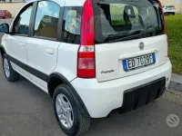 Usata Fiat Panda 4x4 Climbing 69 CV (50 kW) 2010 Bianco Utilitaria