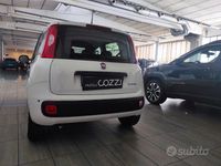 Nuova Fiat Panda S 70 CV (51 kW) 2025 Bianco Utilitaria