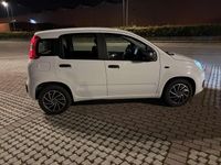 Usata Fiat Panda Easy 69 CV (50 kW) 2015 Utilitaria