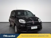 Usata Fiat Panda S 70 CV (51 kW) 2024 Nero Utilitaria