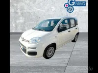 Usata Fiat Panda S 70 CV (51 kW) 2021 Bianco gelato Utilitaria