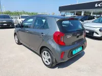 Usata Kia Picanto Plus 67 CV (49 kW) 2023 Grigio Utilitaria