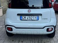 Usata Fiat Panda Cross Cross 69 CV (50 kW) 2023 Utilitaria