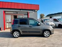 Usata Fiat Panda City Life 70 CV (51 kW) 2023 Grigio Utilitaria
