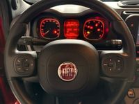 usata Fiat Panda 1.0 OTTIME CONDIZIONI