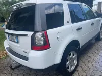 Usata Land Rover Freelander 2 150 CV (110 kW) 2012 Bianco SUV