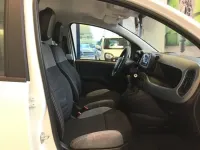 Usata Fiat Panda City Life 70 CV (51 kW) 2022 Bianco Utilitaria