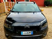 usata Citroën C4 Cactus C4 Cactus 2014 1.6 e-hdi Feel 92cv etg6