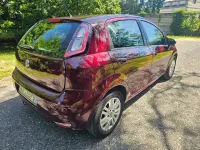 Usata Fiat Punto Lounge 77 CV (56 kW) 2014 Bordeaux Utilitaria