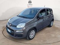 Usata Fiat Panda 69 CV (50 kW) 2021 Grigio Utilitaria