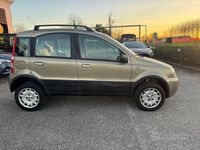 Usado Fiat Panda 4x4 60 HP (44 kW) 2009 Cinzento Citadino