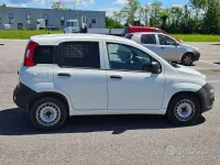 Usata Fiat Panda Pop 69 CV (50 kW) 2019 Bianco Utilitaria