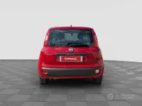Usata Fiat Panda Easy 95 CV (69 kW) 2016 Rosso Utilitaria