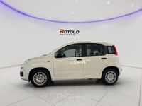 Nuova Fiat Panda Icon 69 CV (50 kW) 2026 Bianco Utilitaria