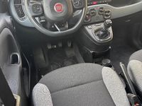 Usata Fiat Panda Easy 69 CV (50 kW) 2019 Bianco Utilitaria