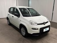 Usata Fiat Panda S 70 CV (51 kW) 2023 Bianco Utilitaria
