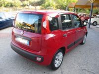 usata Fiat Panda 3ª serie - 2012 ADATTA X NEO PATENTATI