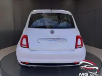 Usata Fiat 500 Star 69 CV (50 kW) 2020 Bianco Utilitaria
