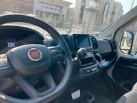 Usata Fiat Ducato 33 120 CV (88 kW) 2024 Bianco Furgone