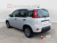 Usata Fiat Panda S 70 CV (51 kW) 2024 Bianco Berlina