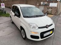 Usata Fiat Panda Easy 69 CV (50 kW) 2020 Bianco gelato Utilitaria