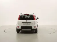 Usata Fiat Panda City Life 71 CV (52 kW) 2023 Bianco Utilitaria