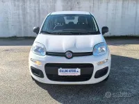 Usata Fiat Panda Easy 69 CV (50 kW) 2019 Bianco Utilitaria