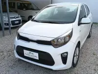 Usata Kia Picanto MY23 67 CV (49 kW) 2024 Utilitaria