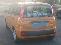 Usata Fiat Panda 70 CV (51 kW) 2020 Giallo Utilitaria