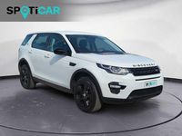 Usata Land Rover Discovery 5 Pure 150 CV (110 kW) 2019 Bianco SUV