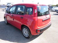 usata Fiat Panda HYBRID 1.0 FireFly S&S * NUOVE *