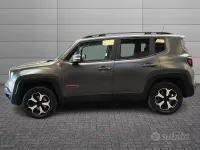 Usata Jeep Renegade Trailhawk 170 CV (125 kW) 2019 Grigio SUV
