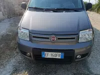 Usata Fiat Panda 4x4 Cross 75 CV (55 kW) 2011 Utilitaria