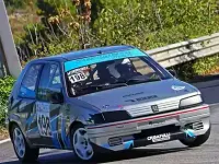 Usata Peugeot 106 98 CV (72 kW) 1994 Utilitaria
