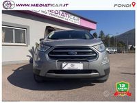 Usata Ford Ecosport Titanium 125 CV (91 kW) 2020 Grigio SUV