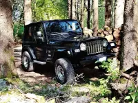 Usata Jeep Wrangler Sport 177 CV (130 kW) 2006 Nero SUV