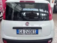 Usata Fiat Panda Easy 69 CV (50 kW) 2020 Bianco Utilitaria