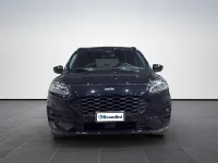 Usata Ford Kuga ST-Line 152 CV (111 kW) 2023 Nero SUV