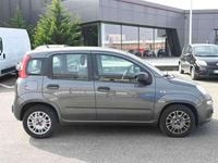 Usata Fiat Panda Easy 69 CV (50 kW) 2022 Grigio Utilitaria
