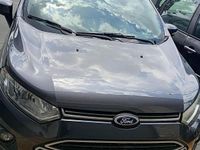 Usata Ford Ecosport 125 CV (91 kW) 2016 Marrone SUV